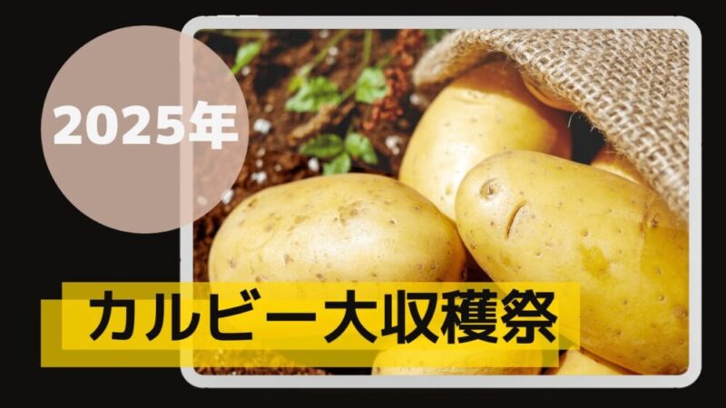 【2025年】カルビー大収穫祭でジャガイモ狙い！応募方法や当選のコツも大公開